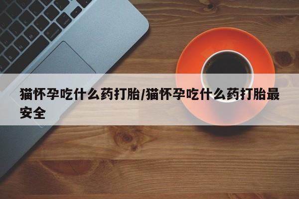 卖正品米非司酮片微信猫怀孕吃什么药打胎/猫怀孕吃什么药打胎最安全