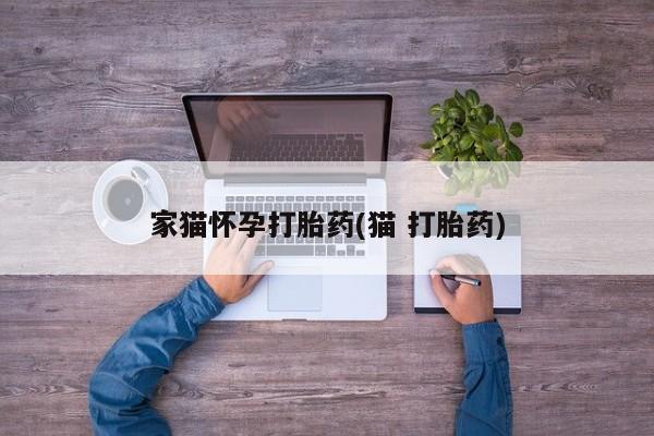 卖正品米非司酮片微信家猫怀孕打胎药(猫 打胎药)